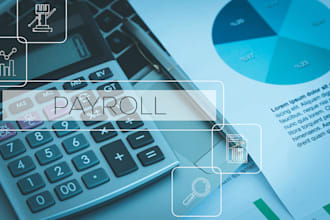 develop payroll system and offer payroll solutions