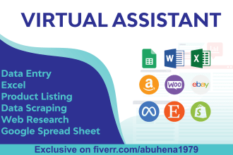 provide efficient data entry and virtual assistant services, excel, copy paste
