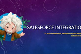 integrate salesforce with any external API
