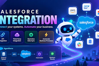 integrate salesforce with any external API