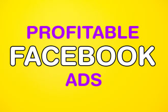 be your facebook ads campaign manager and run meta ads campaign social media