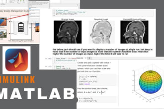 do matlab simulink, image and signal processing in matlab
