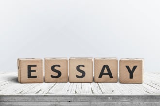 do essays and research on any law practice area