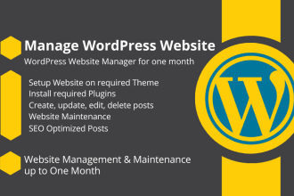 wordpress website manager, manage posts, plugins, theme setup