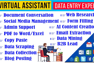 be your virtual assistant data entry, document conversion and data collection