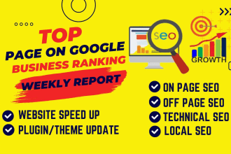 deliver monthly SEO service with google top ranking