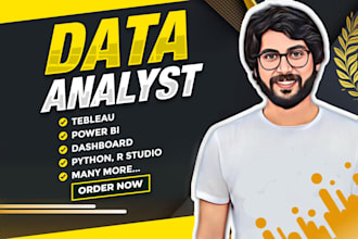 do data analyst and data visualization excel report and power bi dashboard