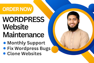 do wordpress website maintenance, site update and support