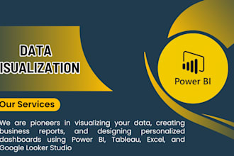create power bi dashboard and visuals, tableau data projects, custom bi reports