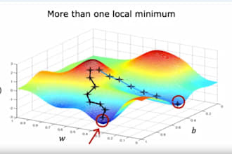 preprocess, visualize, and analyze the data to solve data driven problems