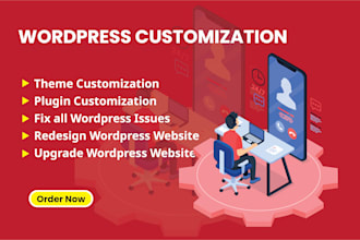 fix issues, customize, upgrade or redesign wordpress website