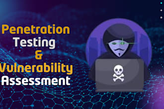 penetration test your website with professional report