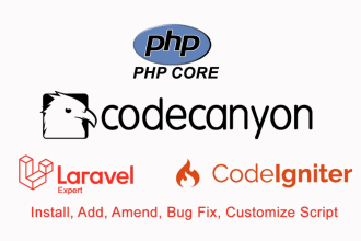 professionally install and customize codecanyon script with laravel and PHP
