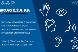 web accessibility testing and wcag audits