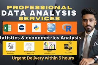 do econometrics and statistical data analysis with spss, stata, r, python, excel