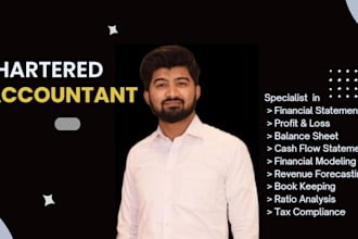 do accounting projects, projection, financial model and forecasts