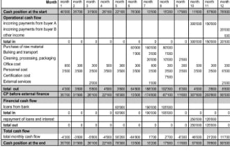 prepare cash flow projections in 24 hours