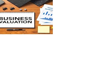 do business evaluation and financial reporting for any business or institution