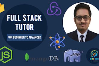 teach you node js, database, PHP, web development
