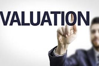 do business and project valuation for prospective compnay