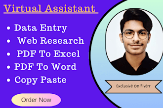 do data entry, write and insert data in excel