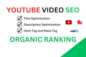 do youtube video SEO for the best organic ranking