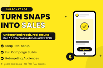 manage and optimize your snapchat ad campaign