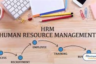 do strategic HR management, leadership development research assignment