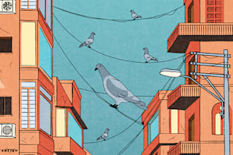 create editorial illustrations for articles, magazine covers or blogs