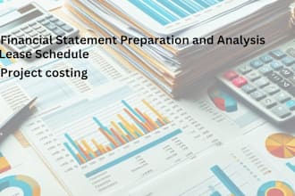 prepare financial statement and analysis business forecast, due diligence