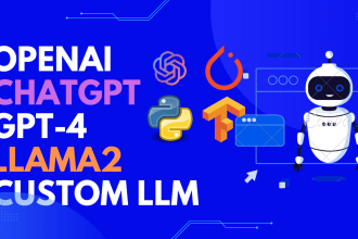 create chatgpt, mistral, llama, custom llms app or project for you