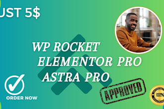 install elementor pro, astra pro, wp rocket plugin updatab