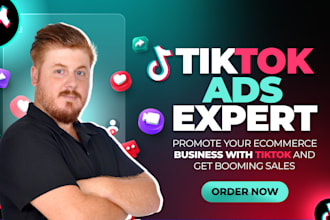 manage tiktok ads for your ecommerce business