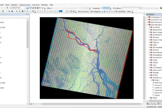 do satellite image processing, digitization, spatial and raster analysis