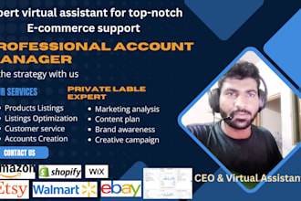 virtual assistant and expert in pl professional task manager for fba manager