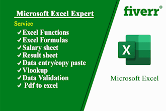 do any microsoft excel formula, excel macro, excel vba and chart