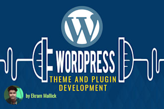 craft custom wordpress plugins and themes for you