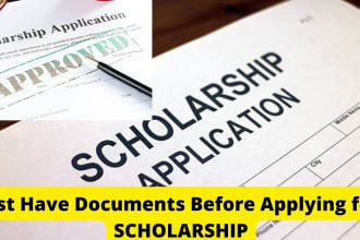 provide expert scholarship application assistance for nursing students