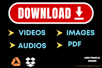 scrape and extract online webvideo downloadable file for you