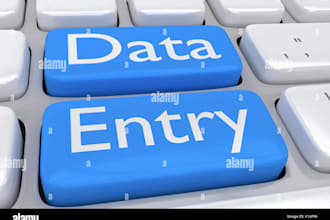 do excel data entry, word data entry, copy paste data entry
