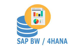 elevate your data landscape with sap bw, bi consulting