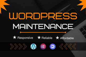 fix bug, error or edit, update wordpress elementor theme, header footer or menu