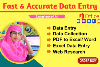 do fast and accurate data entry, copy paste, excel data entry, pdf to excel