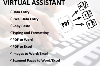 do data entry, excel data entry, copy paste, typing, PDF to excel, PDF to word