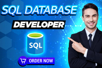 design sql server database, mysql query assignment, erd etc