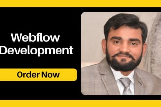 do webflow expert fixing bugs, resolving responsive problems, and redesign