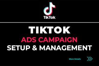 do tiktok ads, tik tok promotion, tiktok advertising, manage as a tiktok manager