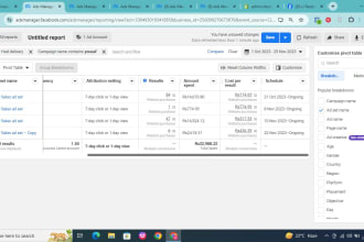 manage facebook meta ads campaign for your business