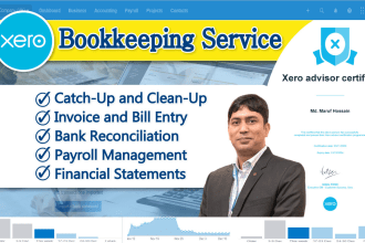 do accounting and bookkeeping using xero