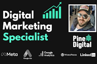 increase your digital presence with google ads, meta ads, linkedin ads and SEO